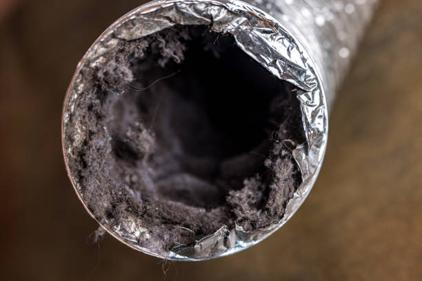 Best HVAC Duct Inspection Services  in Rochester, MN