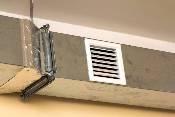 Best Dryer Vent Cleaning Services  in Rochester, MN